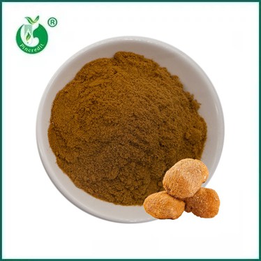 Lions Mane Extract: Benefits, Uses, Dosage & Side Effects