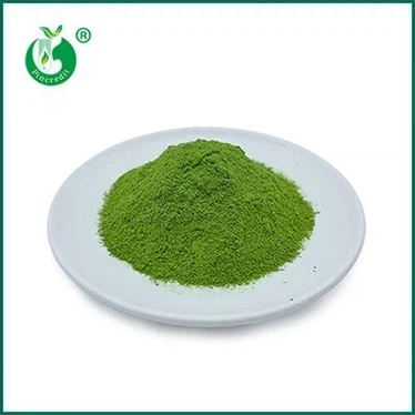 Pincredit 7A Ceremonial Grade Matcha – Premium High-Grade Pure Matcha Powder