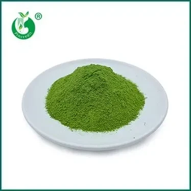 Matcha Industry Trend 2026: Wide Applications, Market Benefits & Business Gro...