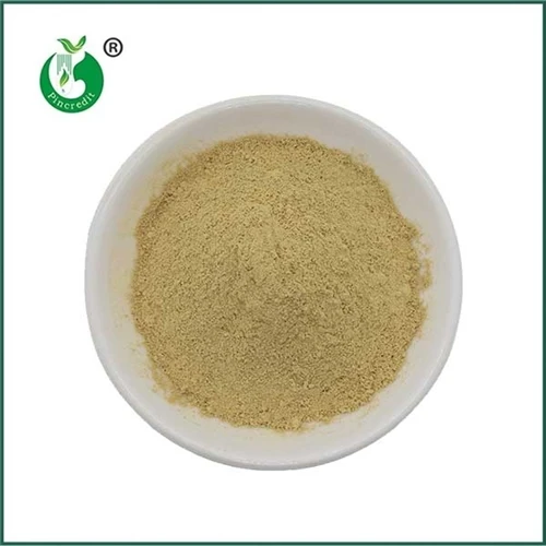 Fisetin Powder: The Complete Sourcing Guide for Supplement Manufacturers