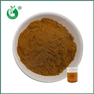 Lion’s Mane Mushroom Extract: Compounds, Uses and Global Industry Insights