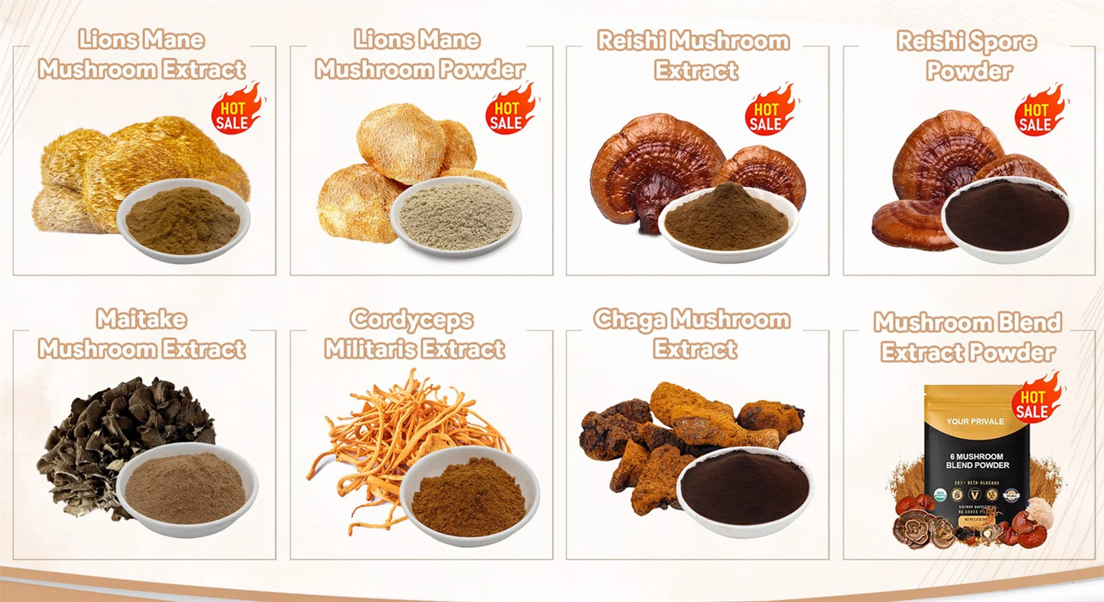 info-1-1 Organic Mushroom Extract Powder