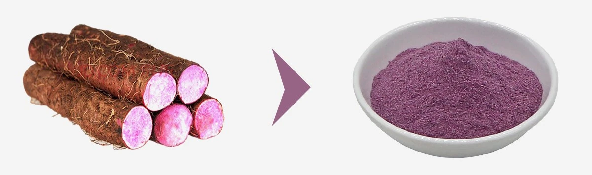 Ube Powder 1 Ube Powder 1