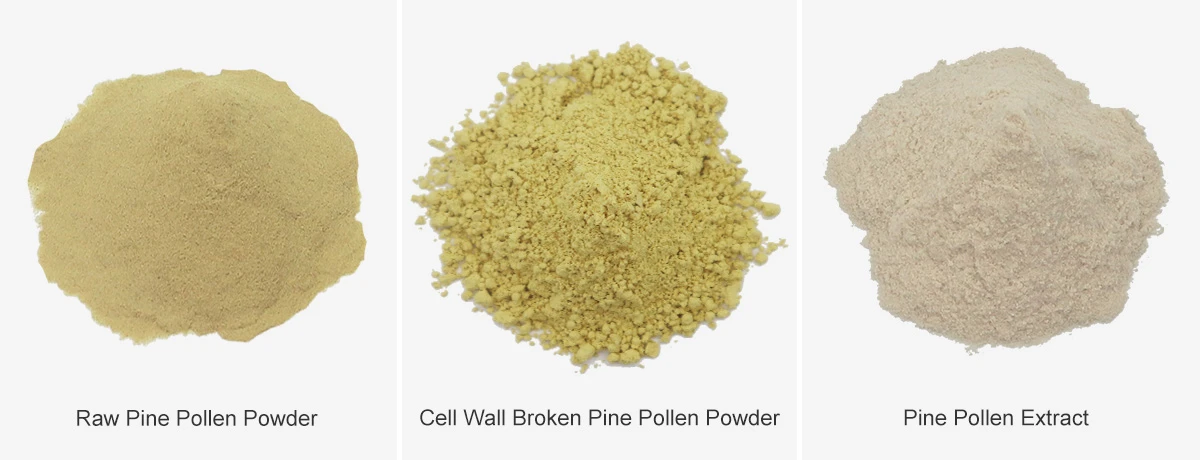 Bulk Pine Pollen Powder Bulk Pine Pollen Powder