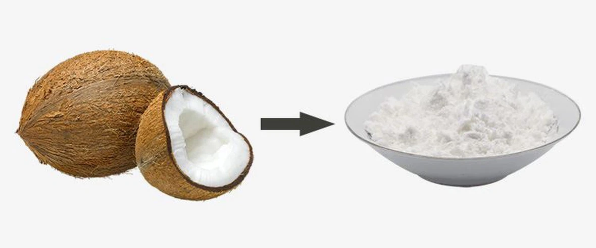 Coconut Powder Coconut Powder