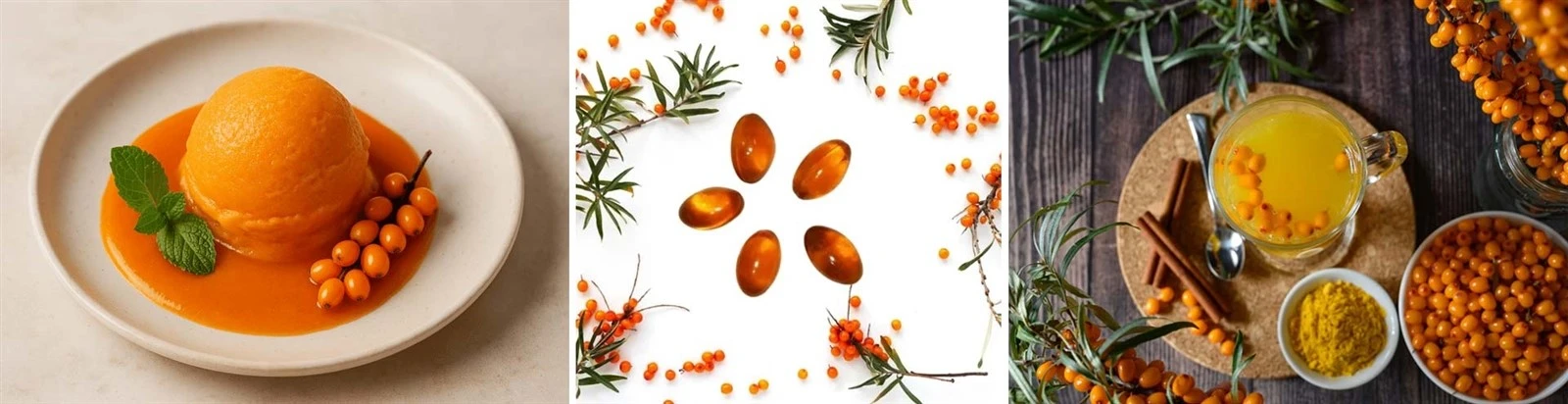Sea Buckthorn Juice Powder Application Sea Buckthorn Juice Powder Application