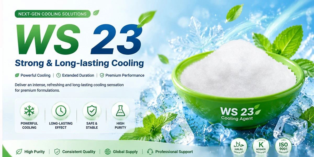 WS-23 Cooling Agent WS-23 Cooling Agent