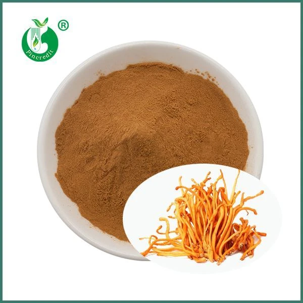 Cordyceps Militaris Extract Powder