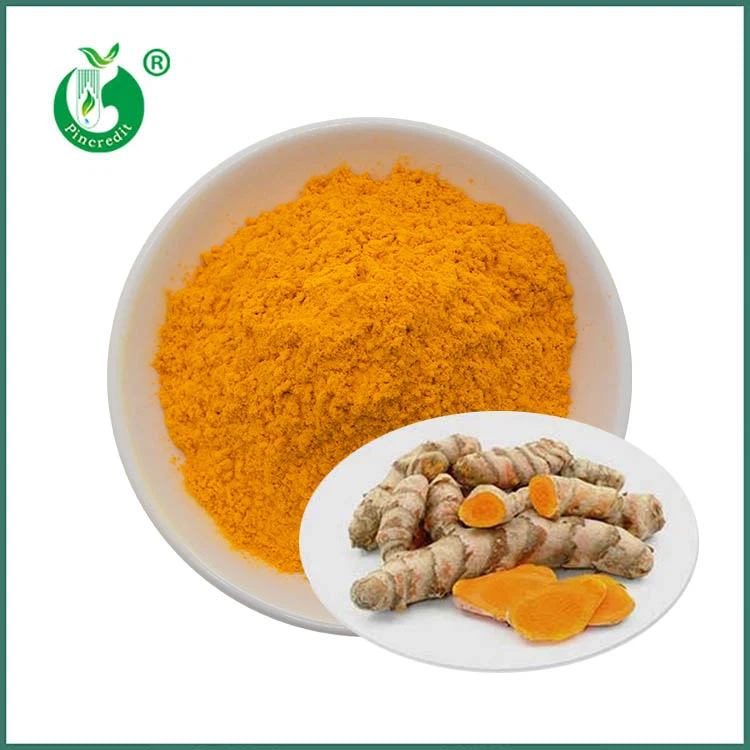 Curcumin Extract Powder: The Gold Standard in Natural Anti-Inflammatory Ingre...