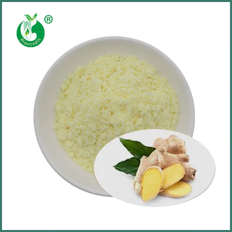 The Functional Properties and Applications of Gingerols in Ginger