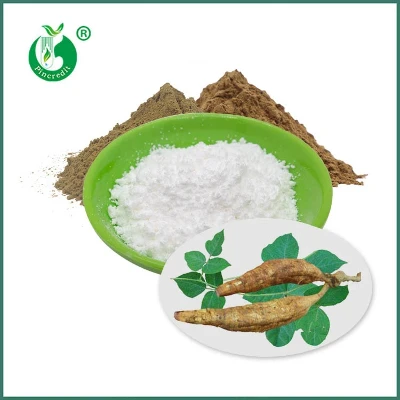 Puerarin Powder: A Plant-Derived Isoflavone