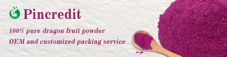 dragon fruit banner