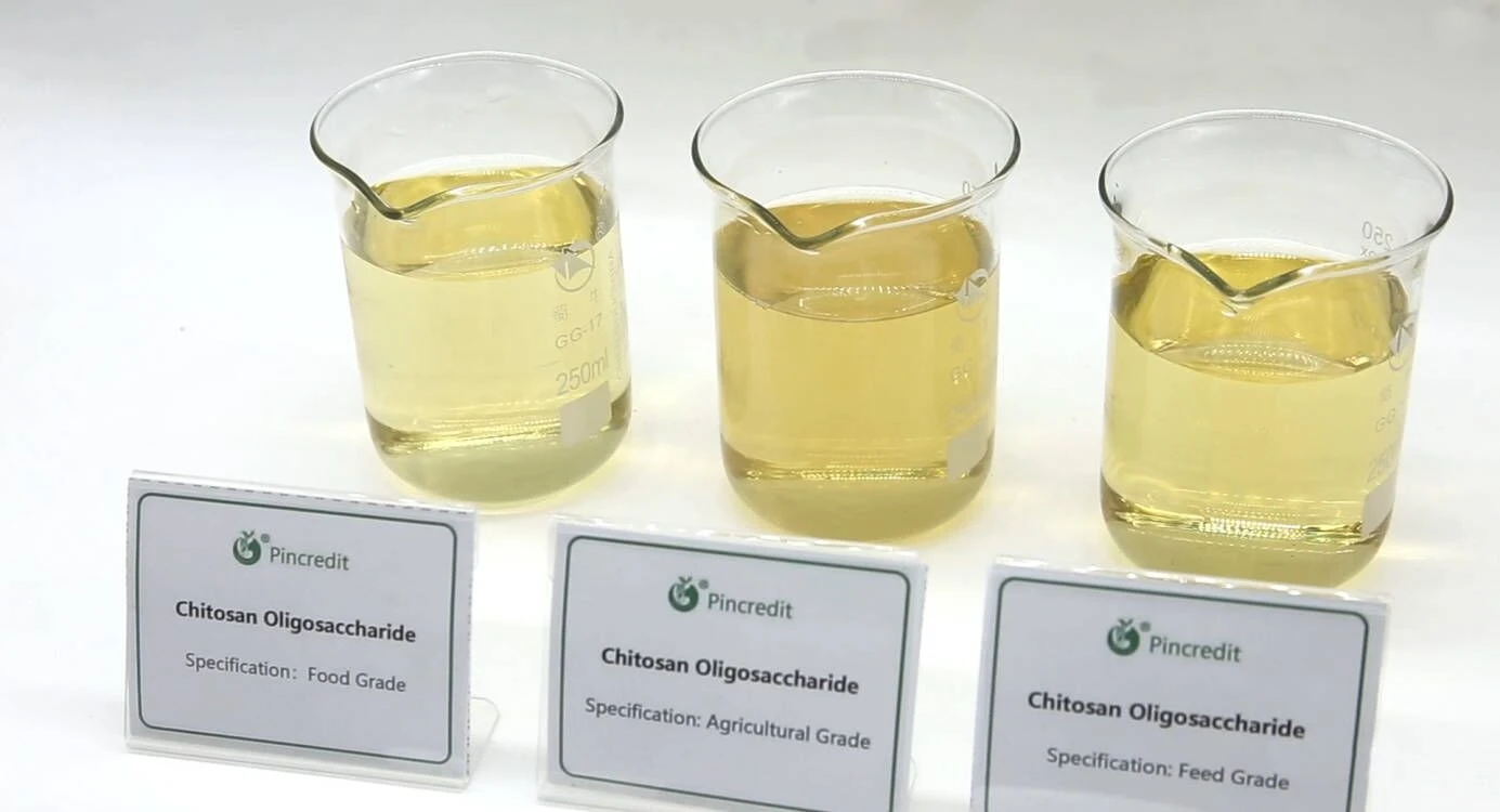 Chitosan Oligosaccharide Powder Chitosan Oligosaccharide Powder