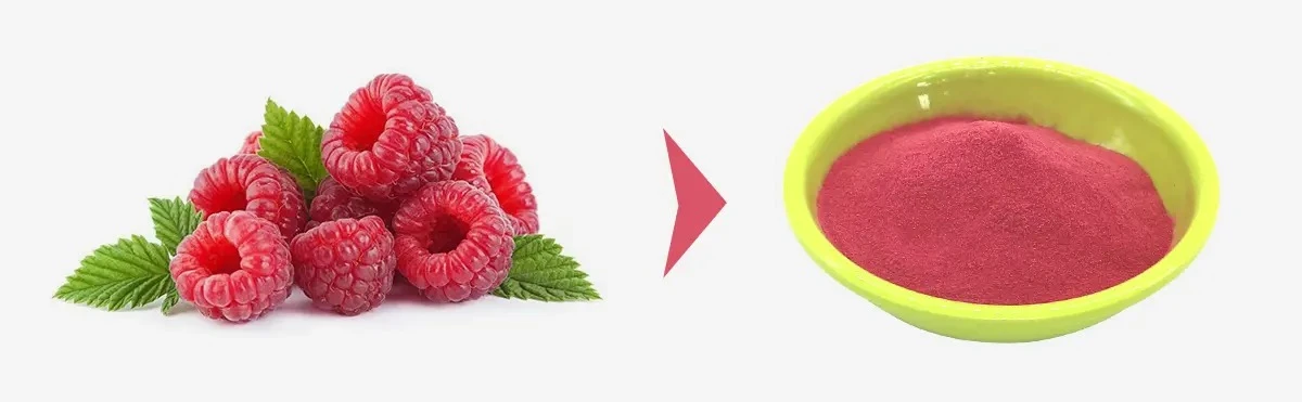 Raspberry Juice Powder