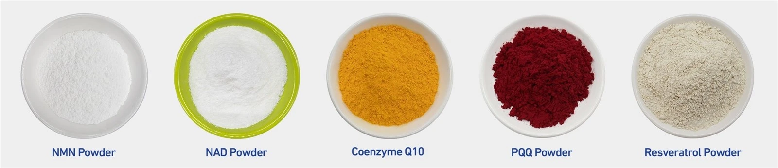 coenzyme-powder