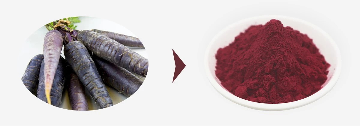 Black Carrot Juice Powder