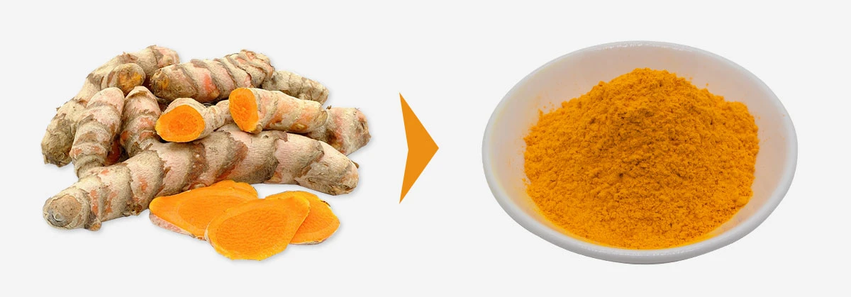 Curcumin Extract Powder