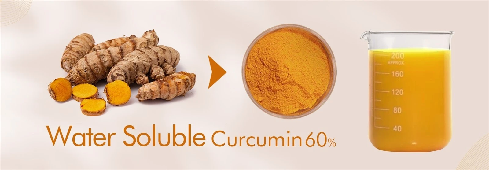 Water Soluble Curcumin 60 Water Soluble Curcumin 60