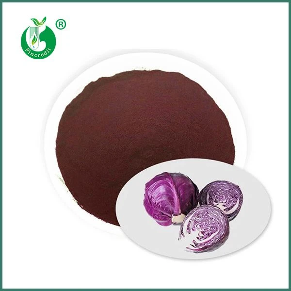Red Cabbage Juice Powder